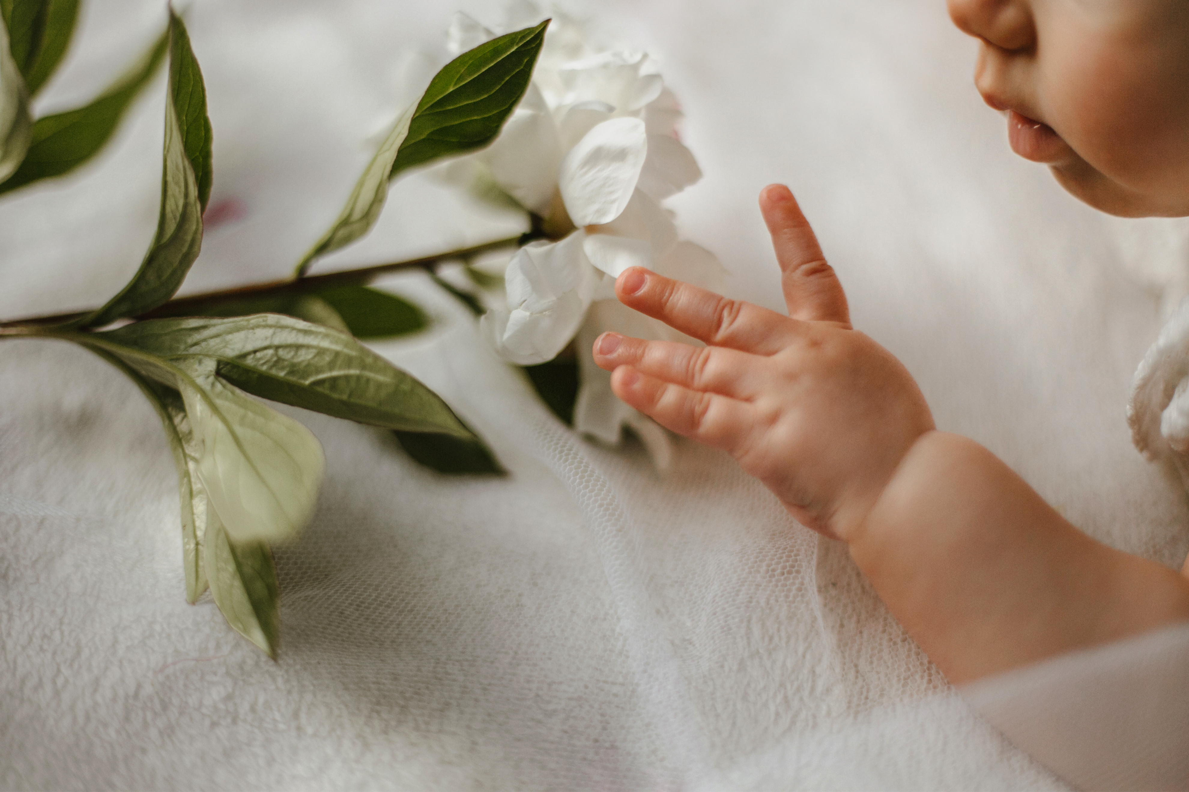 Baby reaching for a white flower
