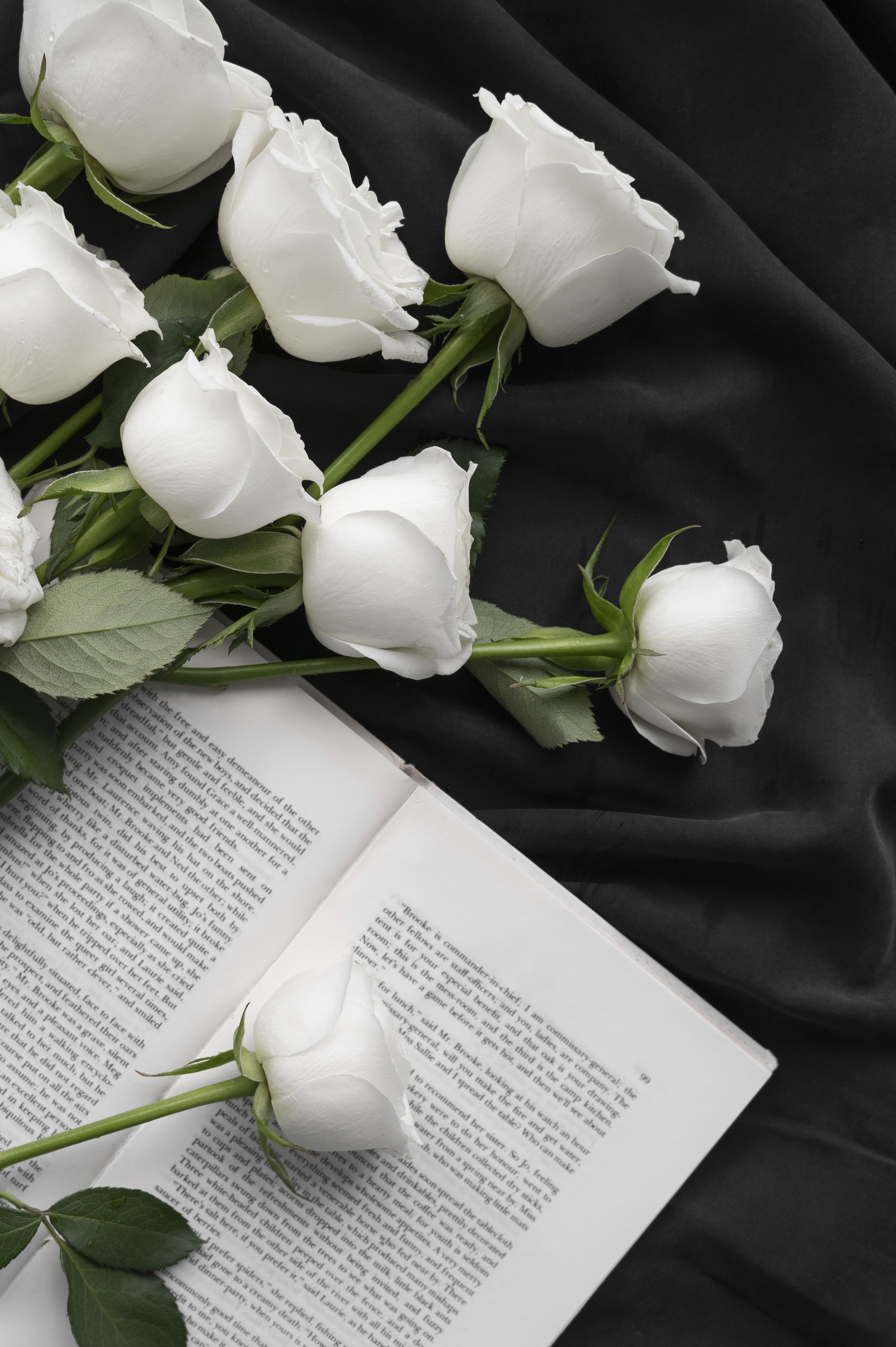 White roses resting on an open book